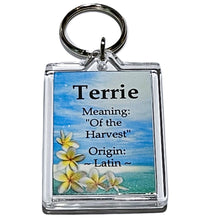 Load image into Gallery viewer, Key Chain - Island