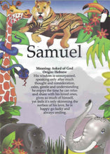 Load image into Gallery viewer, A4 laminated named plaque (Zoo animals)
