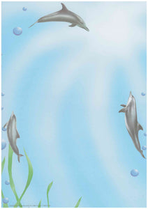 A4 laminated named plaque (Dolphins)