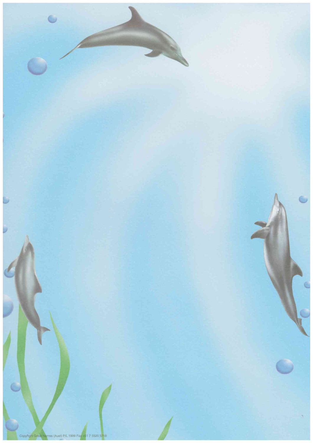 A4 laminated named plaque (Dolphins)