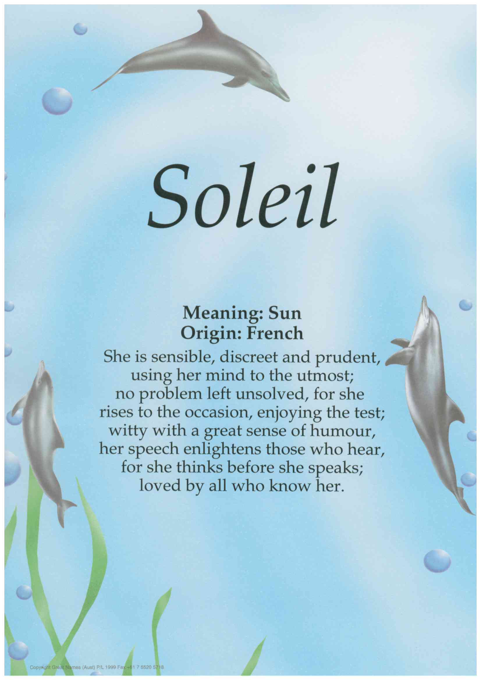 A4 laminated named plaque (Dolphins)