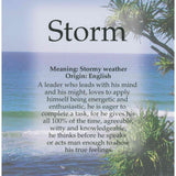 A4 laminated named plaque (Tropical Beach)